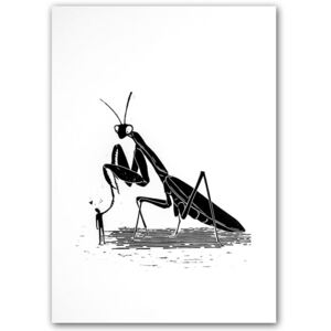 Chrumkavý - Lenka Štefanková / grafika