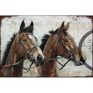 Ceduľa Kone 30cm x 20cm Plechová tabuľa