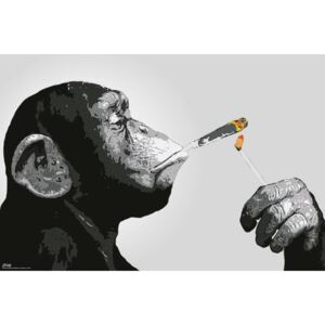Plagát, Obraz - Steez - Opice Smoking, (91.5 x 61 cm)