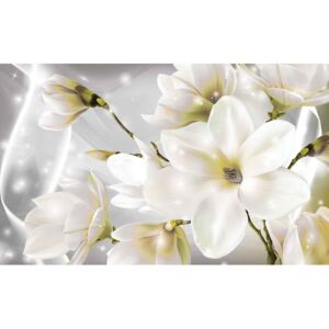 Fototapeta, Tapeta Biele kvety, (104 x 70.5 cm)