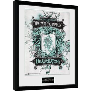 Rámovaný Obraz - Harry Potter - Triwizard Beaux Batons