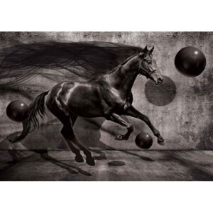 Fototapeta, Tapeta 3D - Čierne kone, (104 x 70.5 cm)