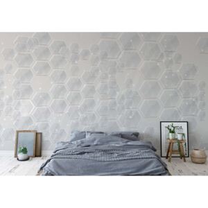 Fototapeta - Modern 3D Grey Hexagonal Pattern Vliesová tapeta - 312x219 cm