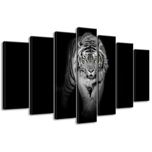 Gario Obraz na plátne Nebezpečný tiger v tme 140x80cm