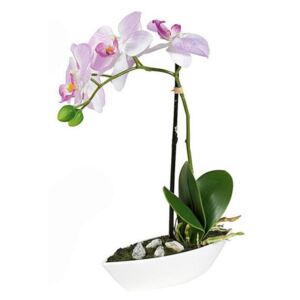 UMELÁ RASTLINA, orchidea