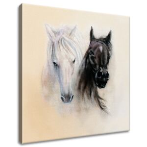 Gario Obraz na plátne Black and White Horses Rozmery (š x v): 30 x 30 cm