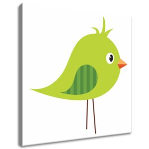 Gario Obraz na plátne Zelený strapatý vtáčik Rozmery (š x v): 40 x 40 cm