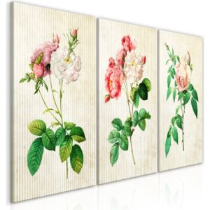 Obraz - Floral Trio (Collection) 60x30