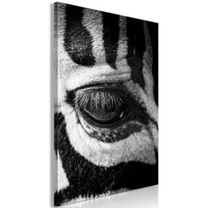 Obraz - Zebra Eye (1 Part) Vertical 40x60
