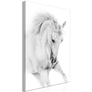 Obraz - White Horse (1 Part) Vertical 40x60