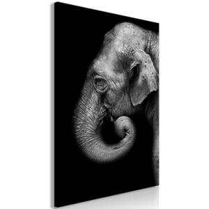 Obraz - Portrait of Elephant (1 Part) Vertical 40x60