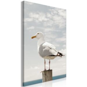Obraz - Seagull (1 Part) Vertical 40x60