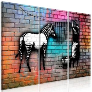 Obraz - Washing Zebra - Colourful Brick (3 Parts) 90x60