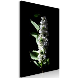Obraz - White Lilacs (1 Part) Vertical 40x60