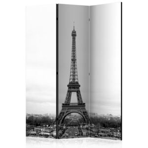 Paraván - Paris: black and white photography [Room Dividers] 135x172