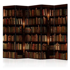 Paraván - Bookshelves II [Room Dividers] 225x172