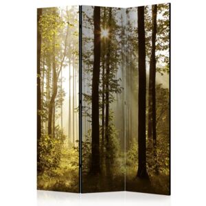 Paraván - Forest: Morning Sunlight [Room Dividers] 135x172
