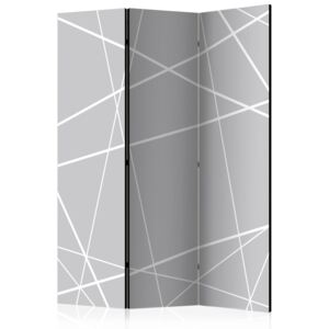 Paraván - Modern Cobweb [Room Dividers] 135x172