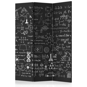 Paraván - Science on Chalkboard [Room Dividers] 135x172