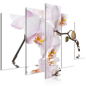 Obraz - Delightful Orchid (5 Parts) Wide 200x100