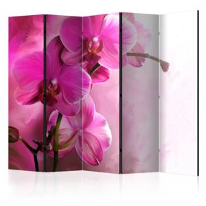 Paraván - Pink Orchid II [Room Dividers] 225x172