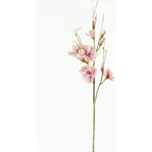 Konár magnólia kvet ružová 155cm