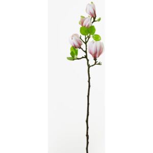 Magnolia ks 66cm pink