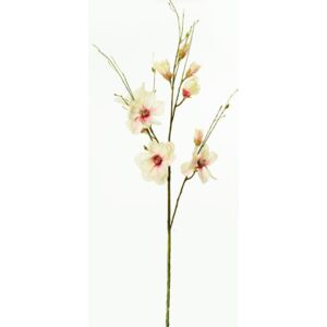 Konár magnólia kvet ružový 155cm