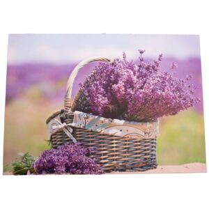 Obraz na plátne s levanduľou Provence, 30 x 40 cm