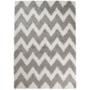 Kusový koberec Shaggy Frida svetlo sivý, Velikosti 80x150cm