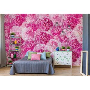 Fototapeta - Pretty Pink Flowers Vliesová tapeta - 416x254 cm