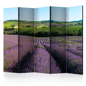 Paraván Lavender fields Dekorhome 225x172 cm (5-dielny)