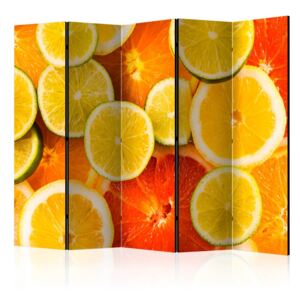 Paraván Citrus fruits Dekorhome 225x172 cm (5-dielny)