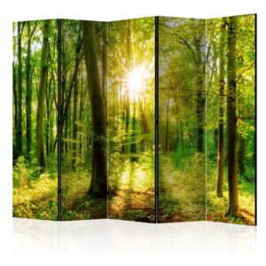 Paraván Forest Rays Dekorhome 225x172 cm (5-dielny)