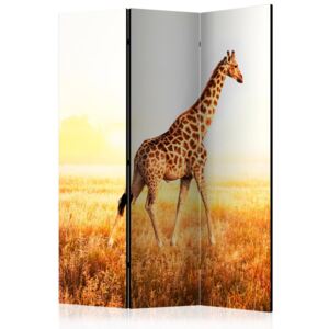 Paraván giraffe - walk Dekorhome 135x172 cm (3-dielny)