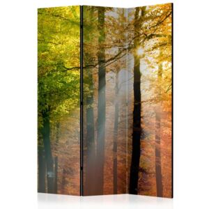Paraván Forest Colours Dekorhome 135x172 cm (3-dielny)