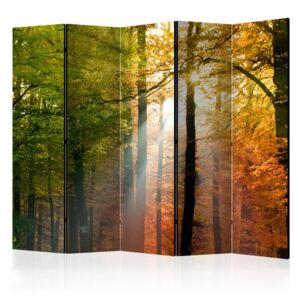 Paraván Forest Colours Dekorhome 225x172 cm (5-dielny)