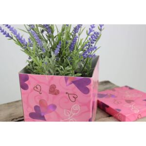 Ružová darčeková krabica so srdiečkami 12cm