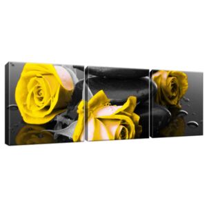 Obraz na plátne Yellow roses and spa 90x30cm 2554A_3A