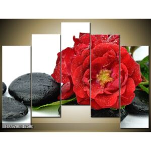 Moderné obrazy kvetín (F005790F12590)