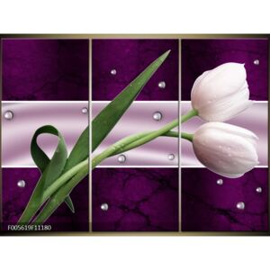 Moderné obrazy - kvety (F005619F11180)