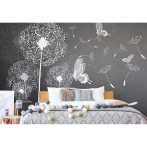 GLIX Fototapeta - Modern Dandelions And Butterflies In Grey Vliesová tapeta - 208x146 cm