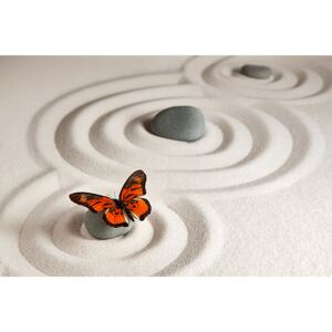 Tapeta Zen butterfly 29292 - samolepiaca