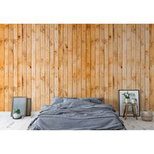GLIX Fototapeta - Wooden Planks Texture Vliesová tapeta - 254x184 cm