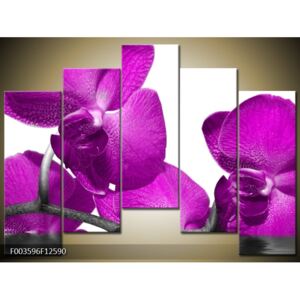 Moderné obrazy kvetín (F003596F12590)