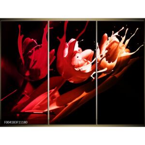 Moderné obrazy - kvety (F004183F11180)