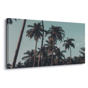 Obraz na plátne - Retro Palms 60x40 cm