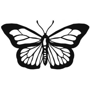 Hector Nástenná dekorácia Motýľ čierna