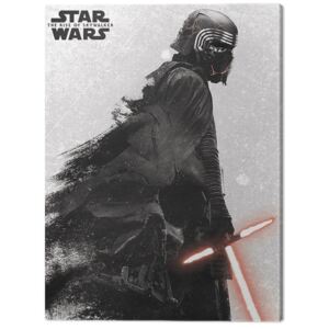 Obraz na plátne Star Wars: Vzostup Skywalkera - Kylo Ren And Vader, (30 x 40 cm)