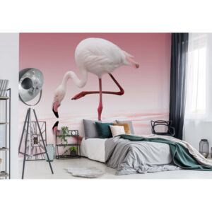 Fototapeta GLIX - Flamingo + lepidlo ZADARMO Vliesová tapeta - 254x184 cm